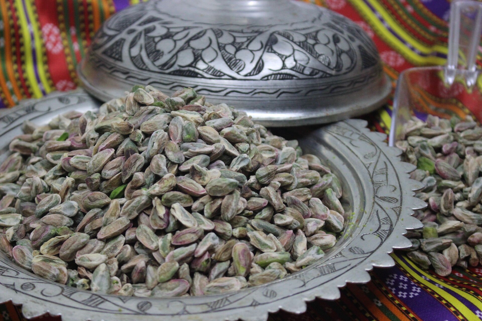 Boz Antep Fıstığı Tüm