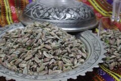 Boz Antep Fıstığı Tüm