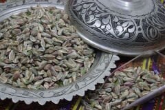 Boz Antep Fıstığı Tüm