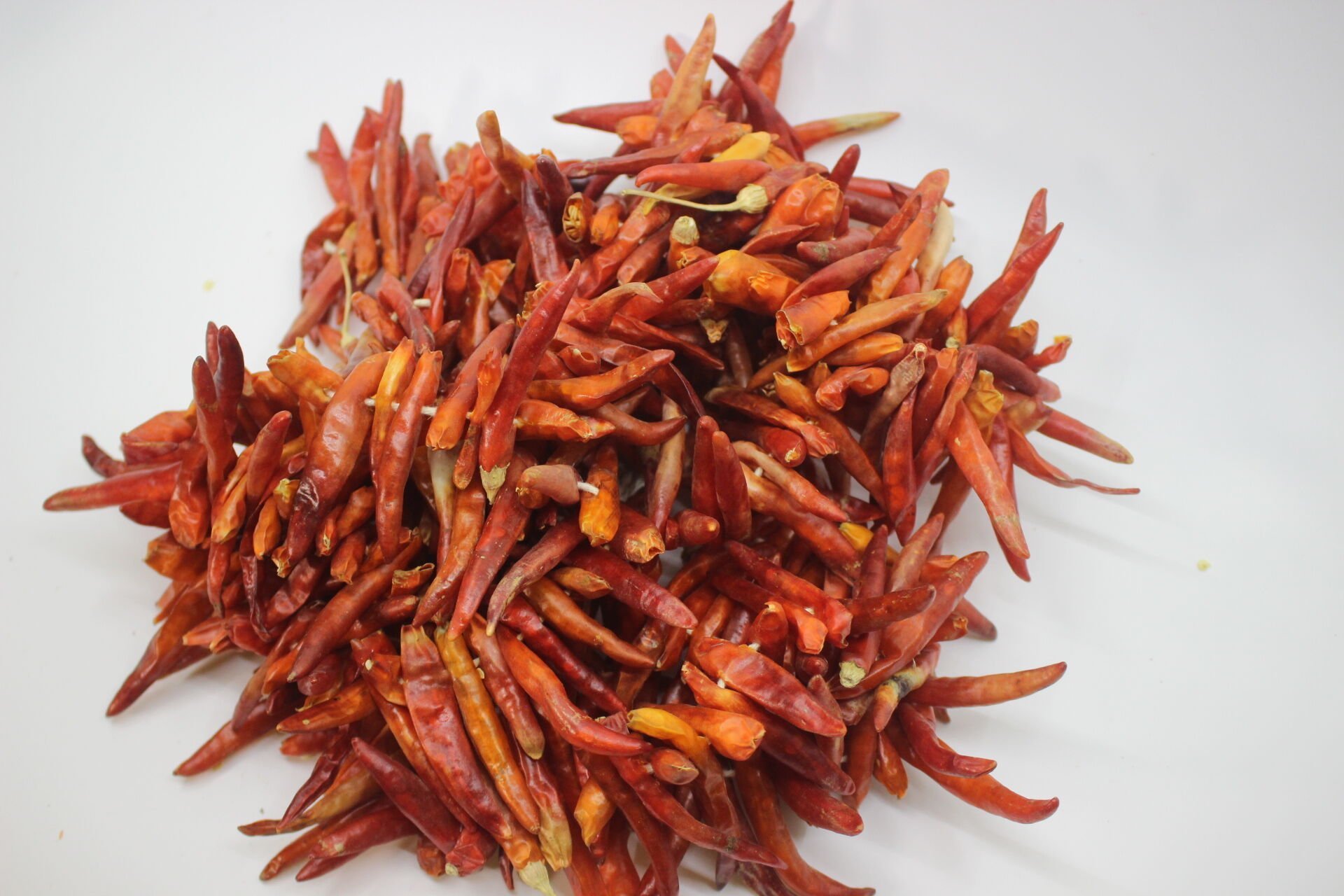 Kurutulmuş Süs Biber (1 Dizi)