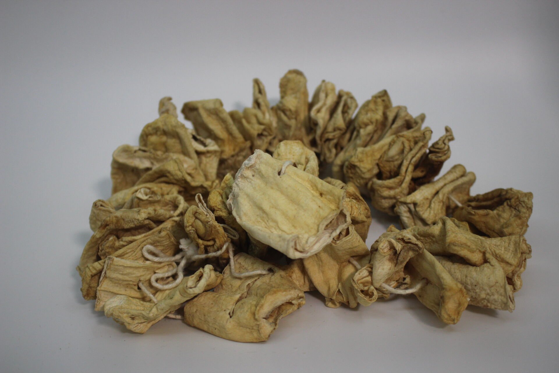 Kurutulmuş Kabak (1 Dizi)