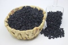 Kuş Üzümü