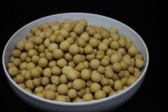 Kıtır Leblebi