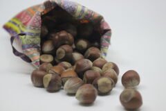 Çiğ Kabuklu Fındık