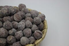 Kabuklu Foça Fındık