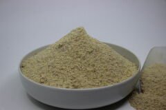 Mahlep