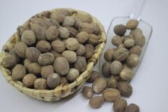 Muskat