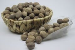 Muskat