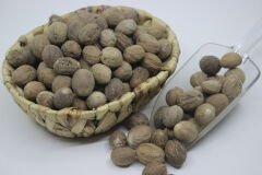 Muskat