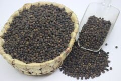 Tane Karabiber Jumbo