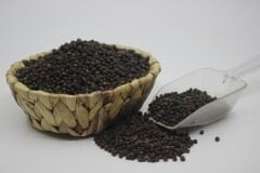 Tane Karabiber Jumbo