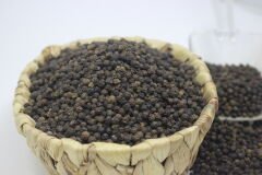 Tane Karabiber Jumbo