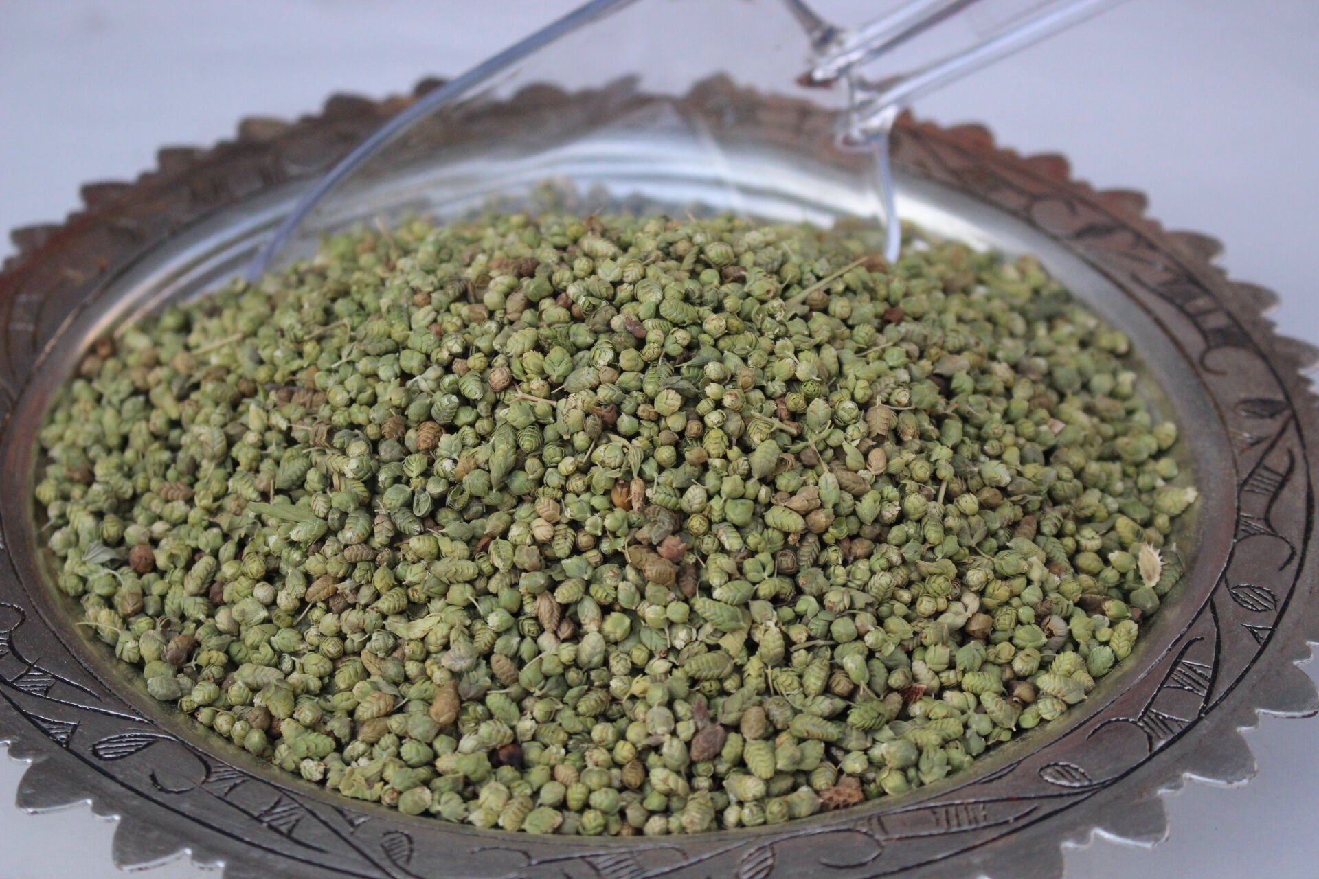 Bilya Kekik