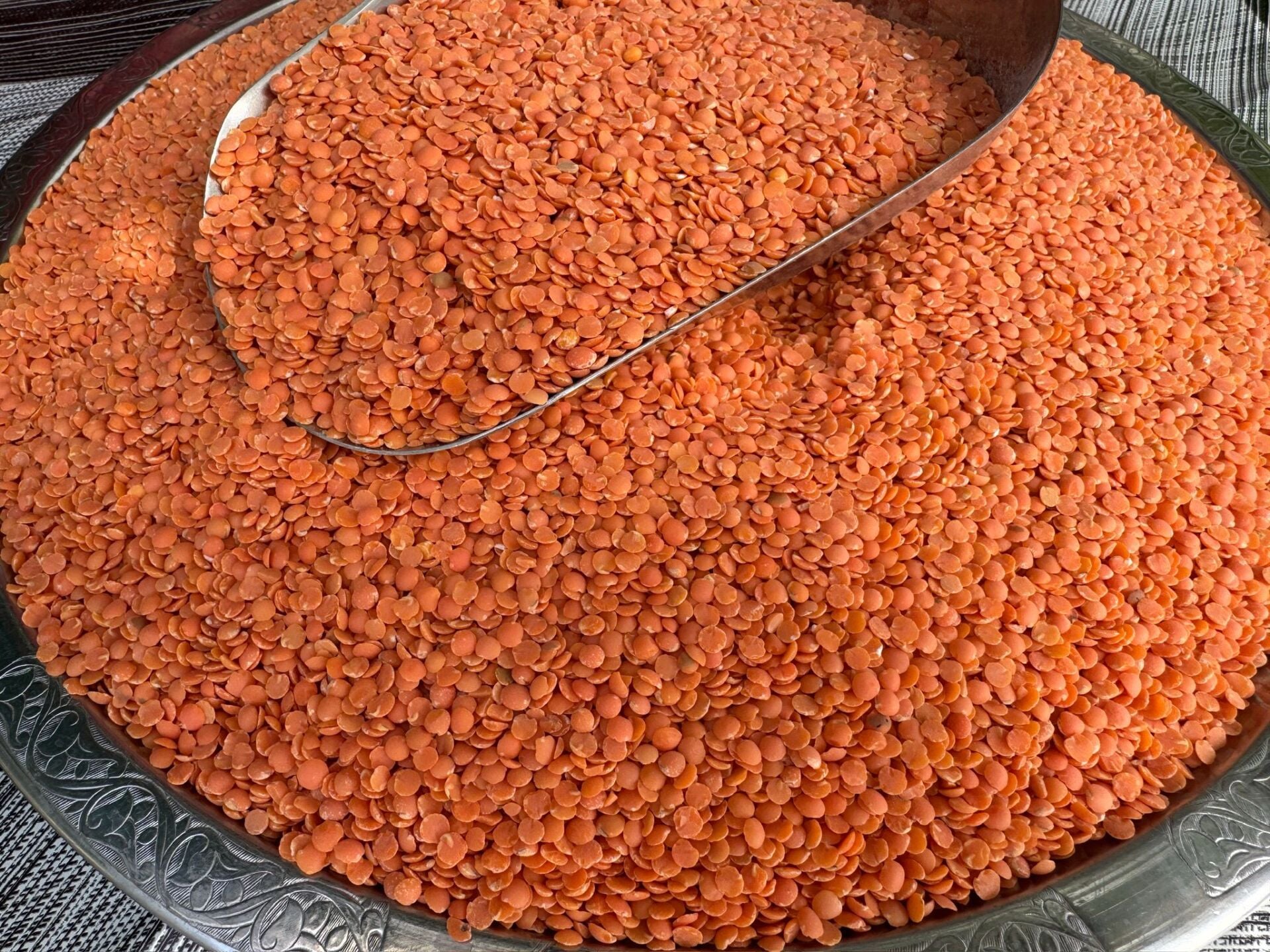 Yerli kırmızı Mercimek