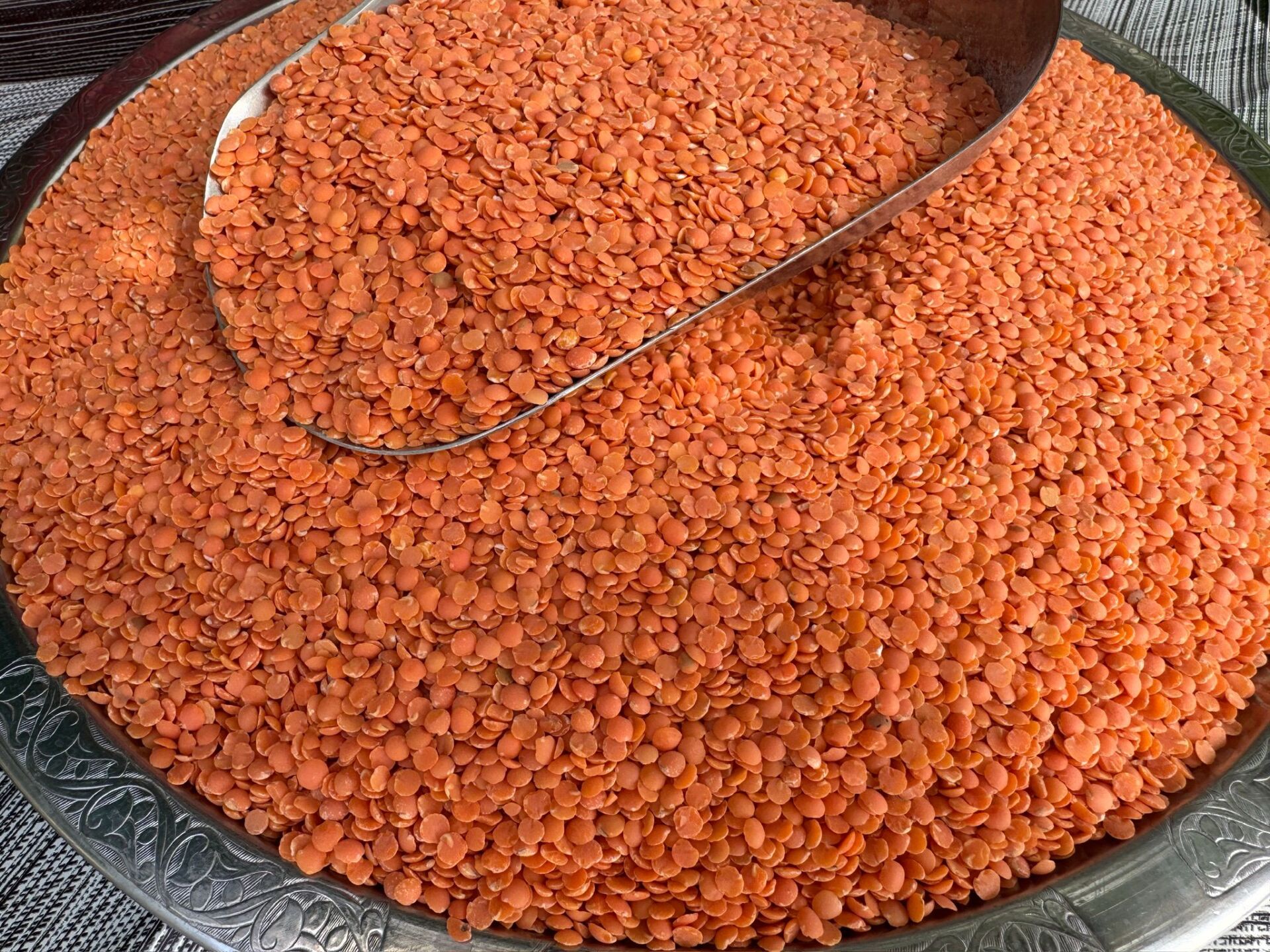 Yerli kırmızı Mercimek