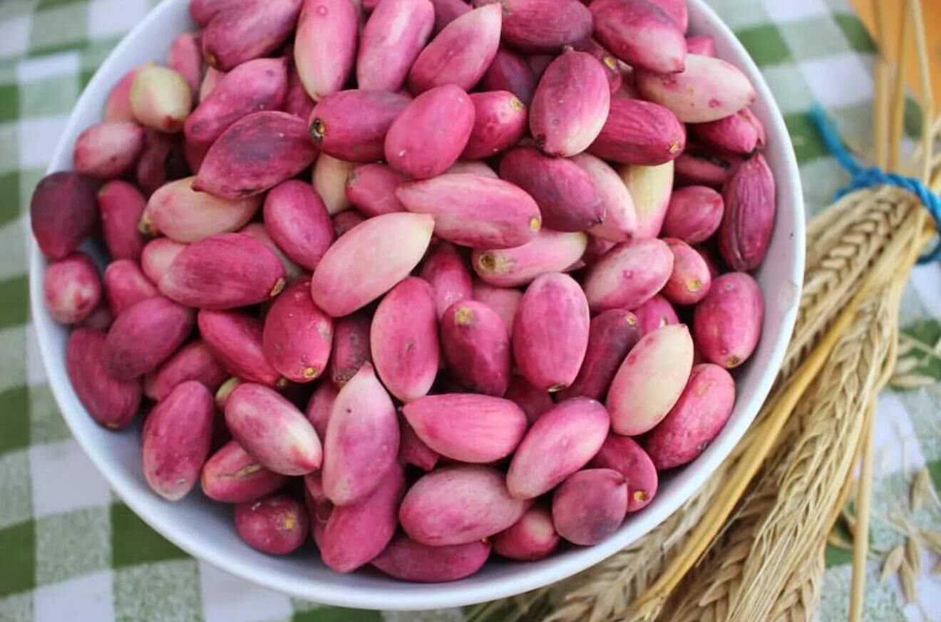 Taze Antep Fıstığı