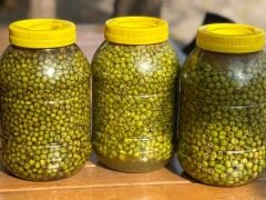 CİNS YEŞİL ZEYTİN ( ÇEKİRDEKSİZ)