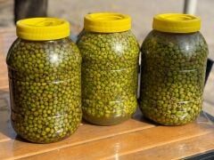 CİNS YEŞİL ZEYTİN ( ÇEKİRDEKSİZ)