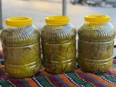 SALAMURA YAPRAK 5'LİK BİDON (3 KG)