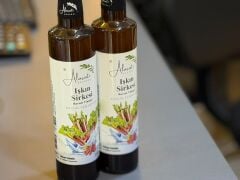 SİRKE IŞKIN (500 ML)